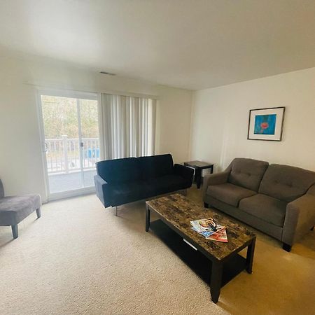 Large, Clean, Comfortable, 1Br Near Einstein Hos Elkins Park Luaran gambar